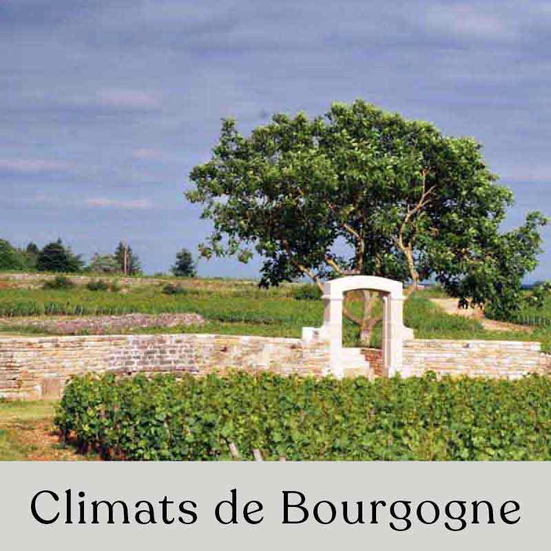 Climats de Bourgogne