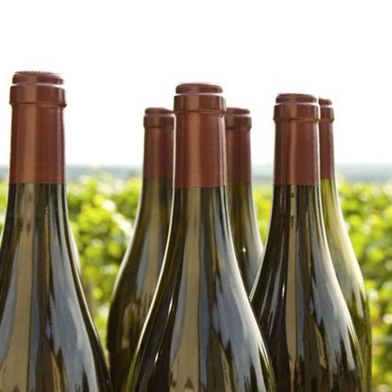 Comment lire l'étiquette d'un vin de Bourgogne