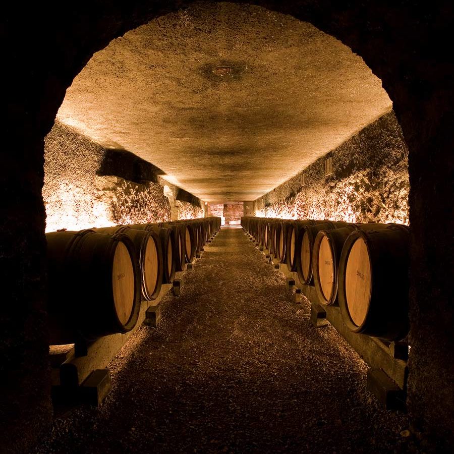 Dégustation de vin à Beaune - Caviste à Beaune - Caves du Marché Aux Vins