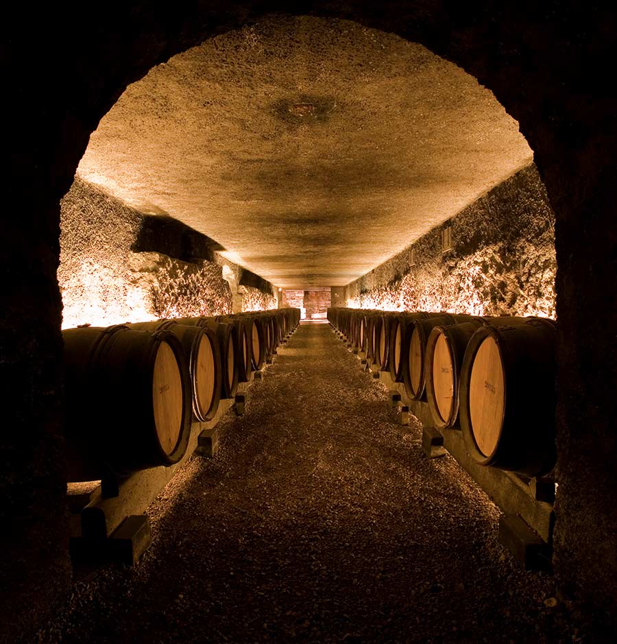 Dégustation de vin à Beaune - Caviste à Beaune - Caves du Marché Aux Vins