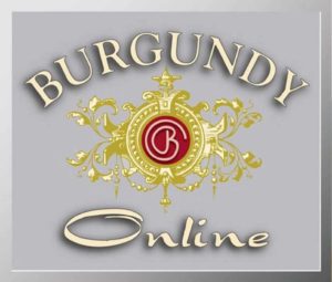 logo Burgundy Online