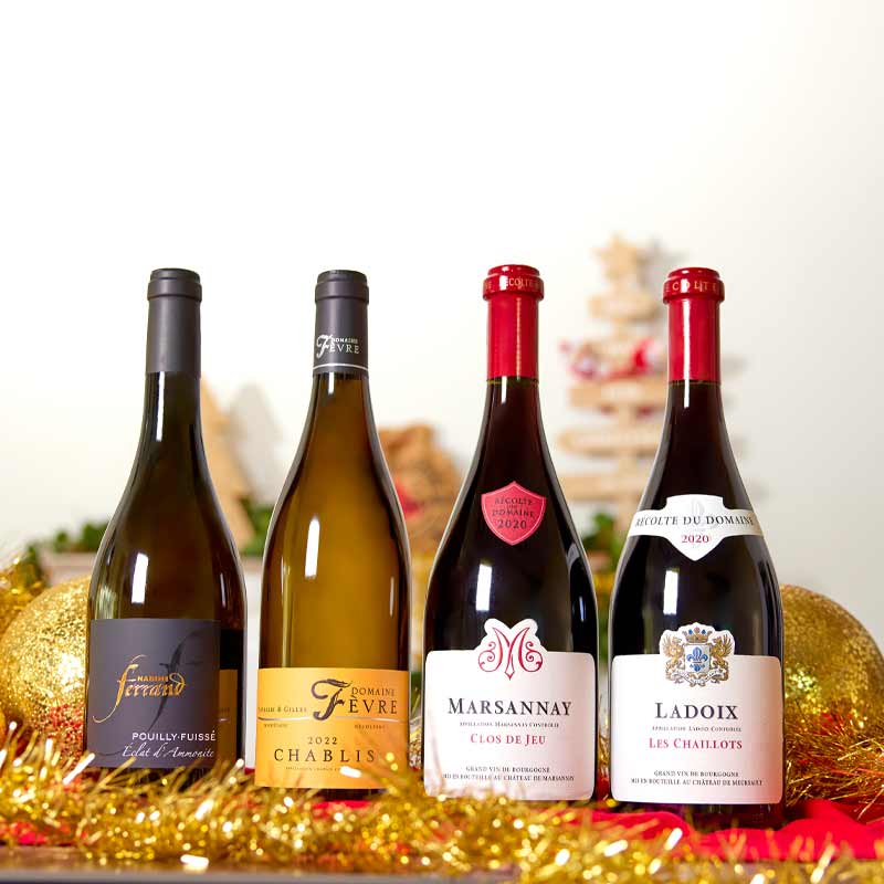 Quel vin de Bourgogne offrir pour les fêtes ?