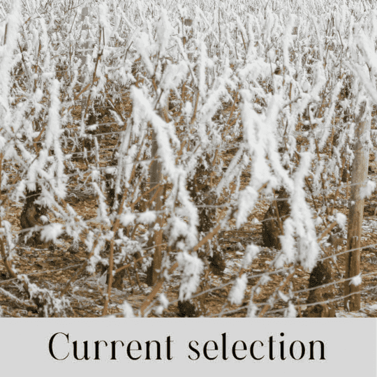 Vines and snow - Current selection