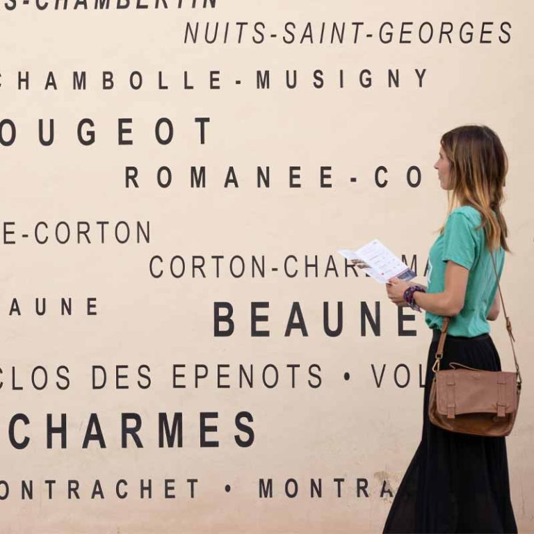 5 raisons de faire de l’Oenotourisme en Bourgogne