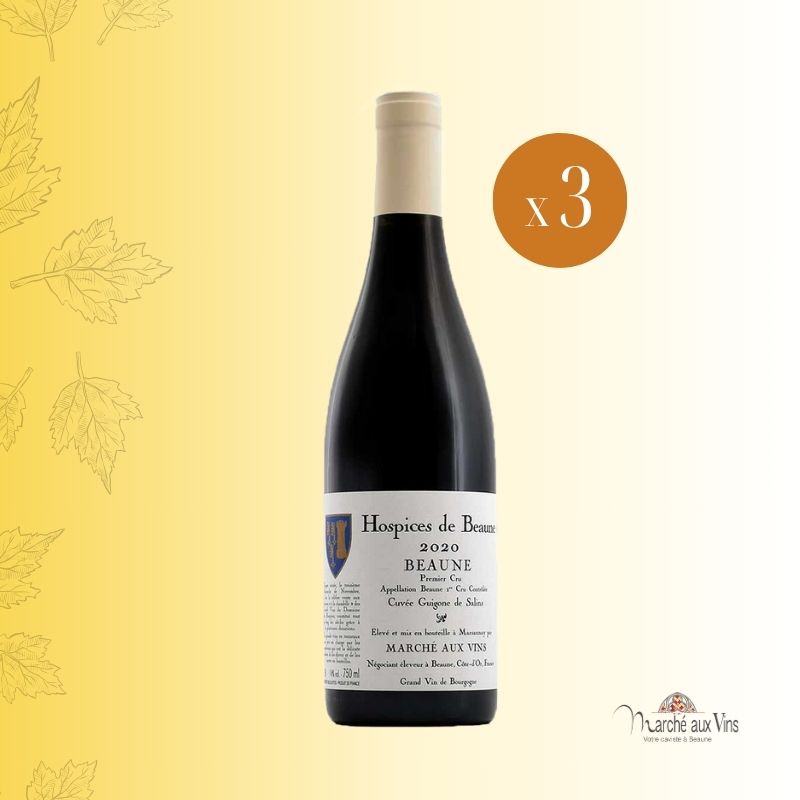 Beaune Premier Cru Cuvée Guigone De Salins 2020, Hospices de Beaune