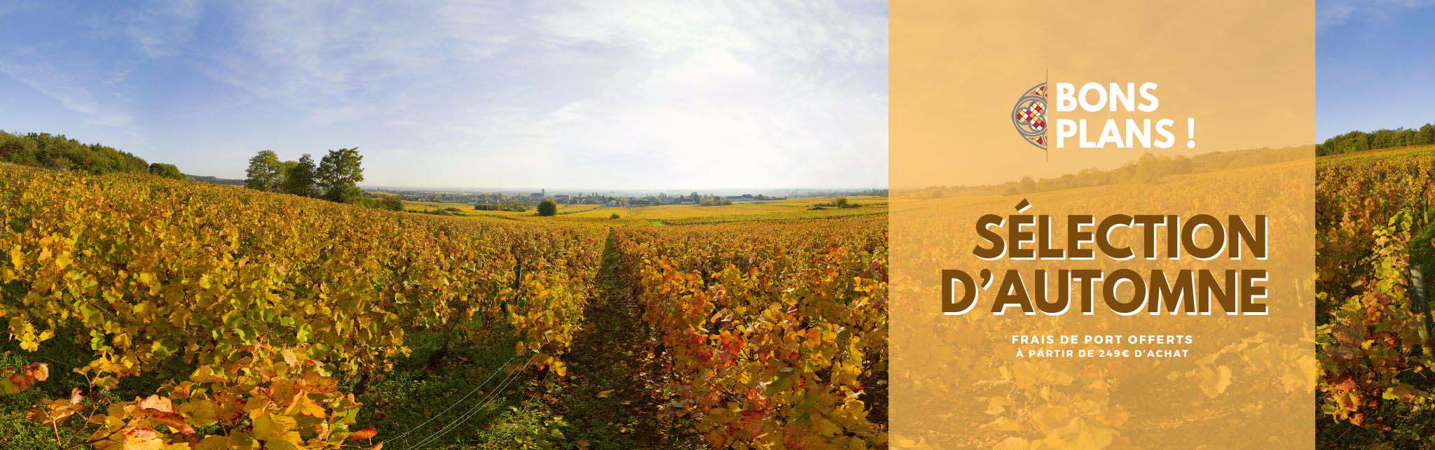 Sélection d'automne - Marché aux Vins