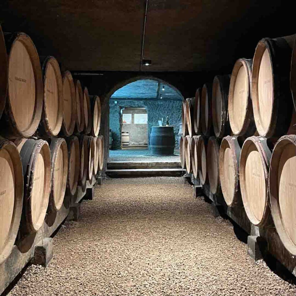 Niché dans l'ancienne Église des Cordeliers au cœur de Beaune, face aux emblématiques Hospices, le Marché aux Vins est un lieu où histoire, patrimoine et expertise œnotouristique se rejoignent...