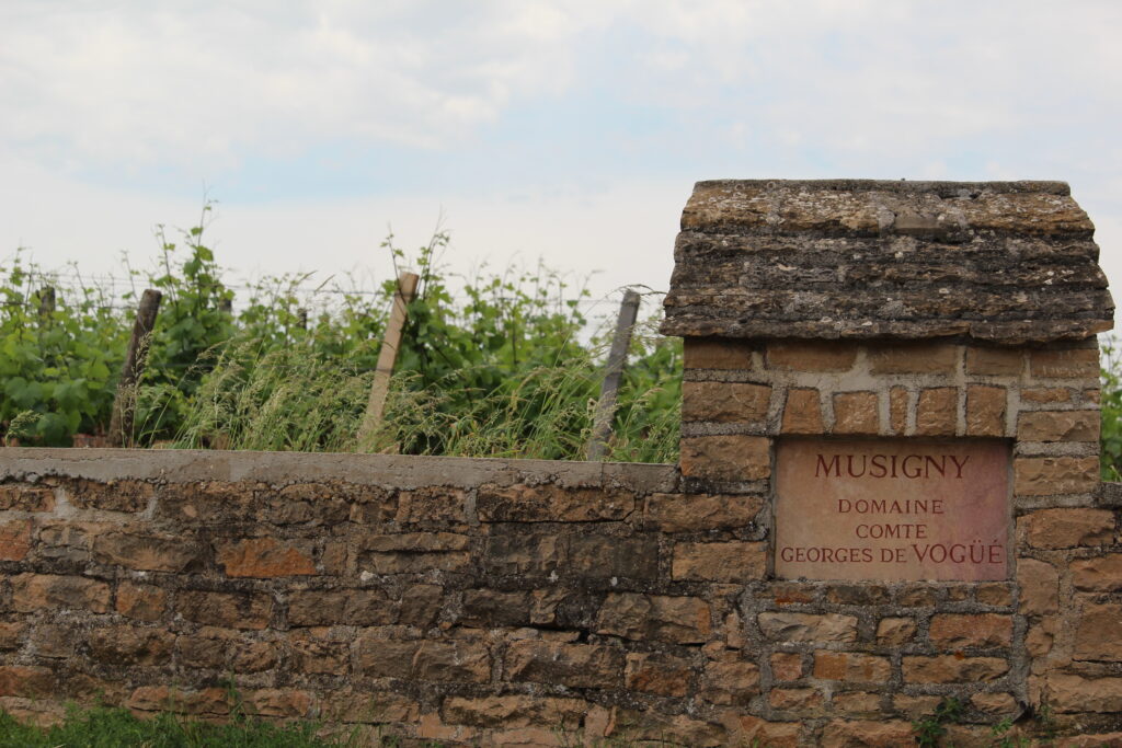 Mur en pierre du vignoble Musigny Domaine Comte Georges de Vogüé