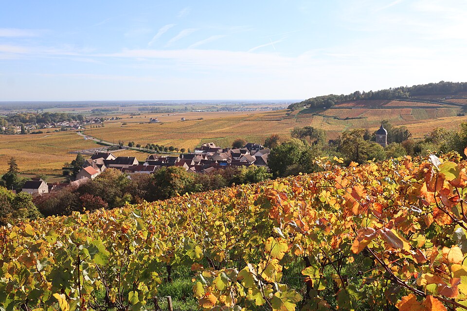 Vignobles bourguignons aux couleurs automnales avec village pittoresque