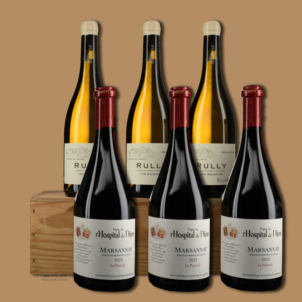 Six bouteilles de vins de Bourgogne Marsannay et Rully 2023